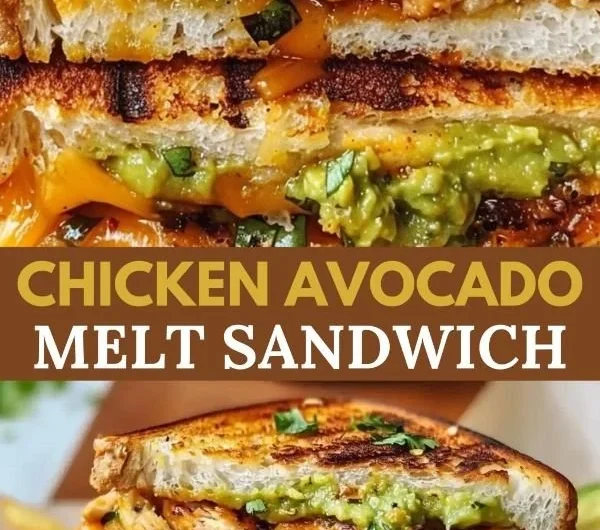 Delicious Chicken Avocado Melt Sandwich with chicken, avocado, and melted cheese