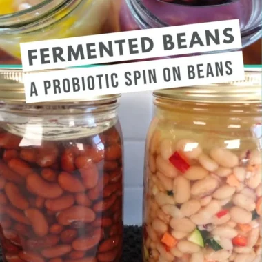 A bowl of fermented beans highlighting their rich texture and flavor