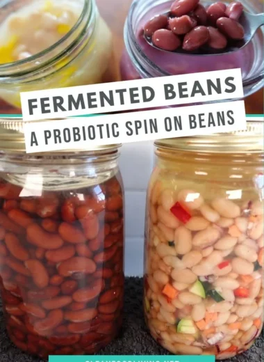 A bowl of fermented beans highlighting their rich texture and flavor