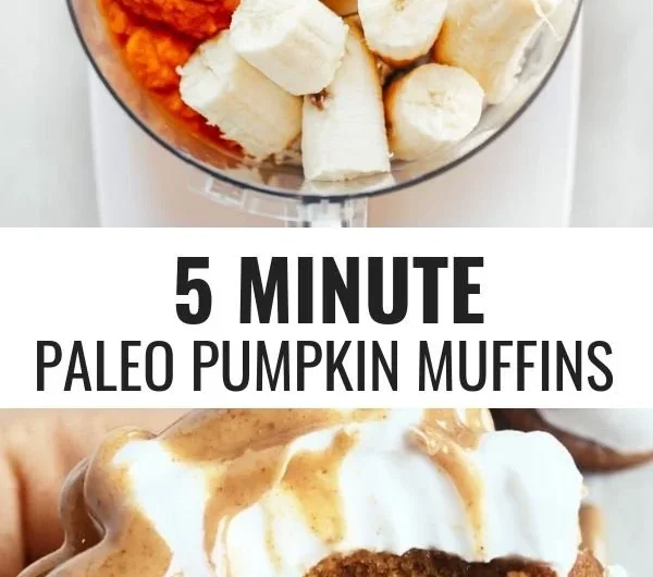 Gluten-free Paleo pumpkin protein muffins on a plate