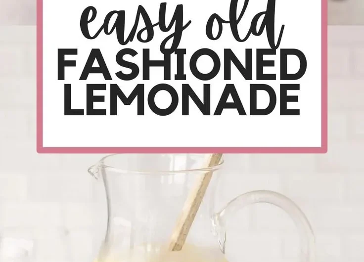 A refreshing glass of homemade lemonade with lemon slices and mint leaves.