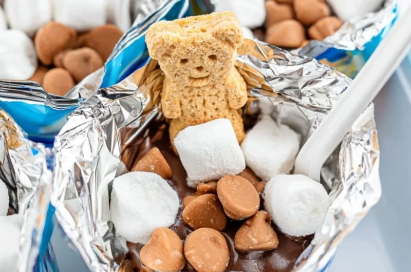 Delicious Portable S'mores ready to enjoy on the go
