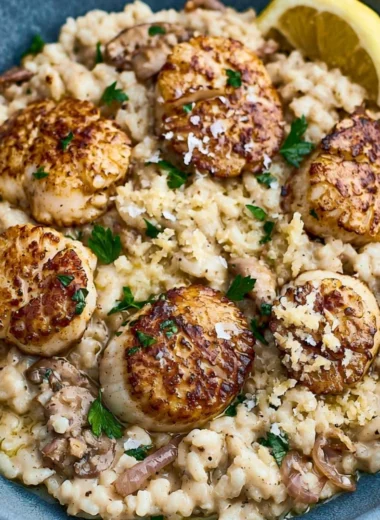 Delicious scallops risotto served in a cozy atmosphere for an evening meal