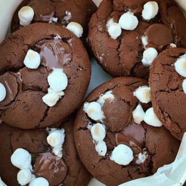 Warm and gooey hot chocolate cookies with chocolate chips on a plate