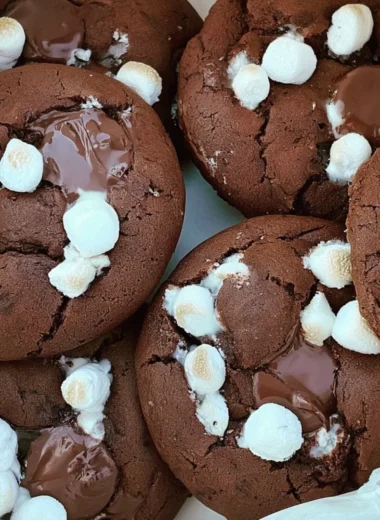 Warm and gooey hot chocolate cookies with chocolate chips on a plate